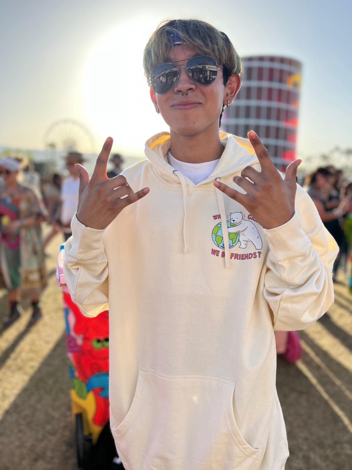 Why Can't we be Friends? Hoodie